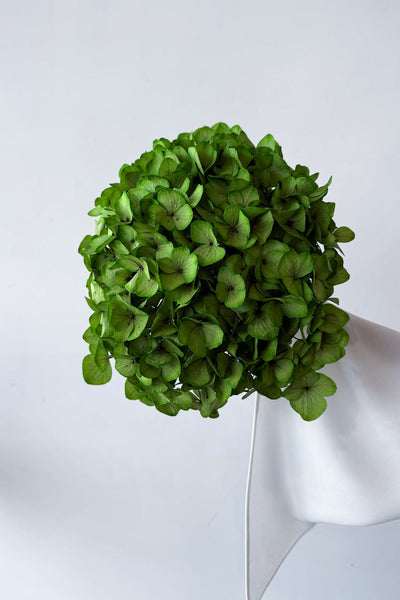 Preserved Large-Leaf Hydrangea Stem - Green - image 1