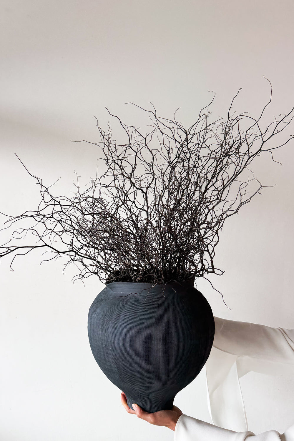 Dried Corokia - Natural - image 4