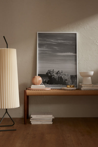 Adler A1 Poster Frame