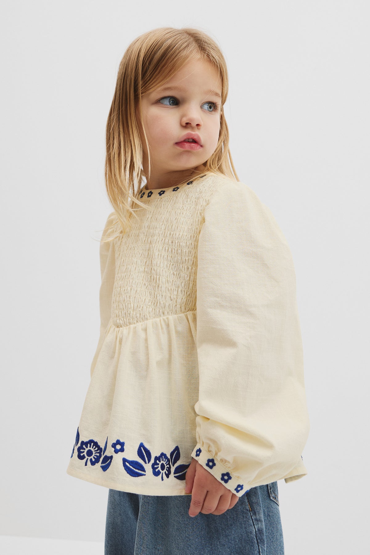 Long Sleeve Embroidered Shirred Blouse
