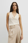 V-Neck Neck Drape Top