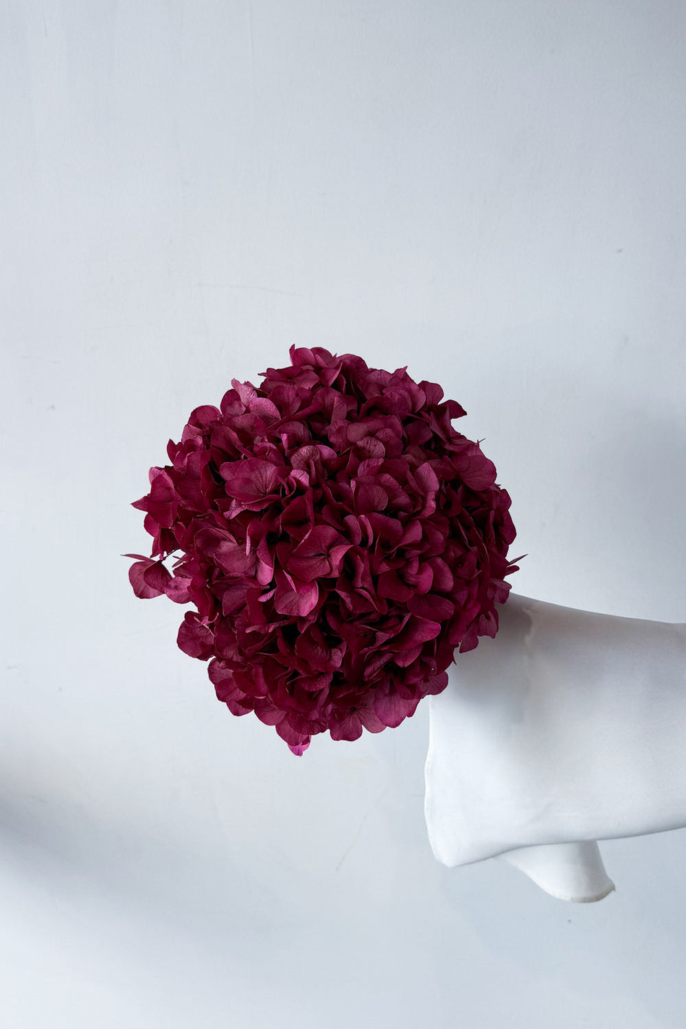 Preserved Large-Leaf Hydrangea Stem - Raspberry - image 1