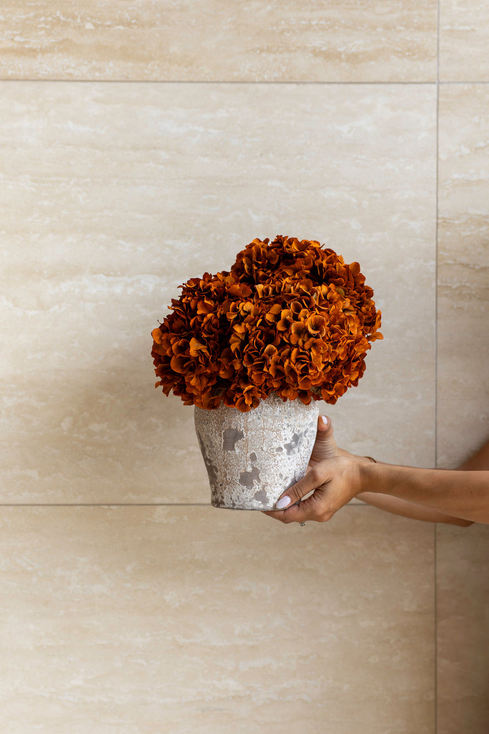 Preserved Large-Leaf Hydrangea Stem - Orange - image 3