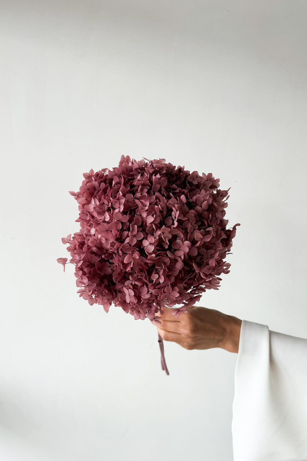 Preserved Small-Leaf Hydrangea Stem - Blush - image 3