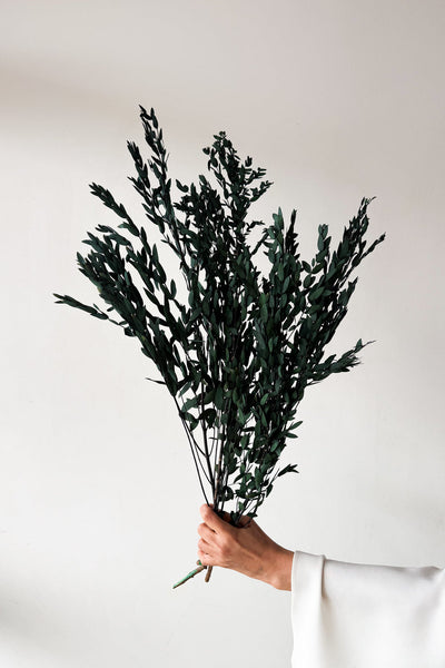 Preserved Small-leaf Gum - Seagrass - image 1