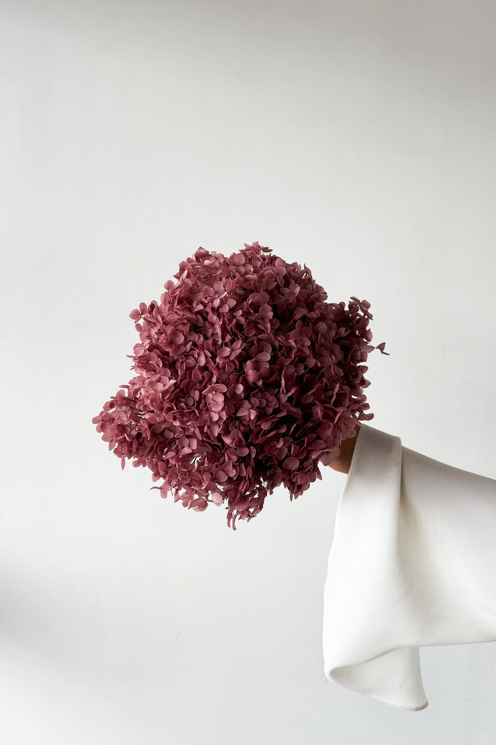 Preserved Small-Leaf Hydrangea Stem - Blush - image 1