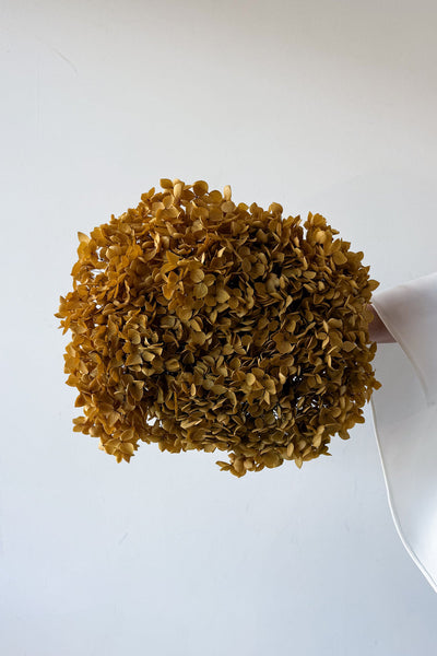 Preserved Small-Leaf Hydrangea Stem - Natural - image 1