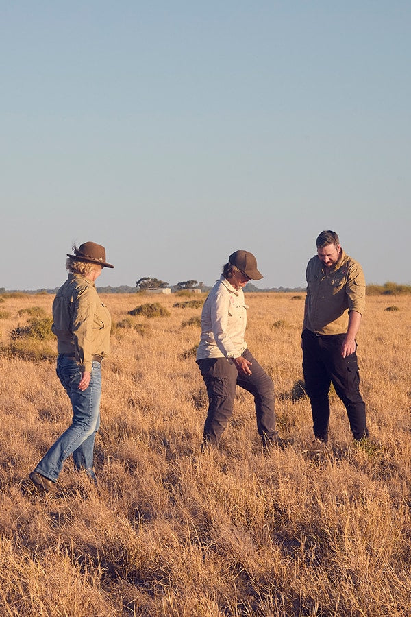 Trust for Nature and Bear family representatives walking through grassland with a dog