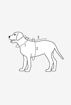 How to measure diagram - dog sweat
